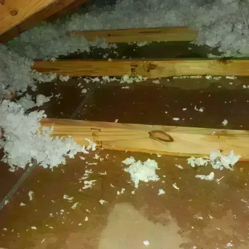 Attic Water Damage in Rosedale, WA